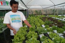 Người Việt chi 1 tỷ USD nhập khẩu nông sản: Thất thủ trên sân nhà?