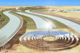 Qatar lên kế hoạch biến sa mạc Sahara thành vườn rau sạch khổng lồ